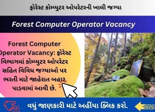 Forest Computer Operator Vacancy