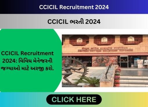 CCICIL Recruitment 2024